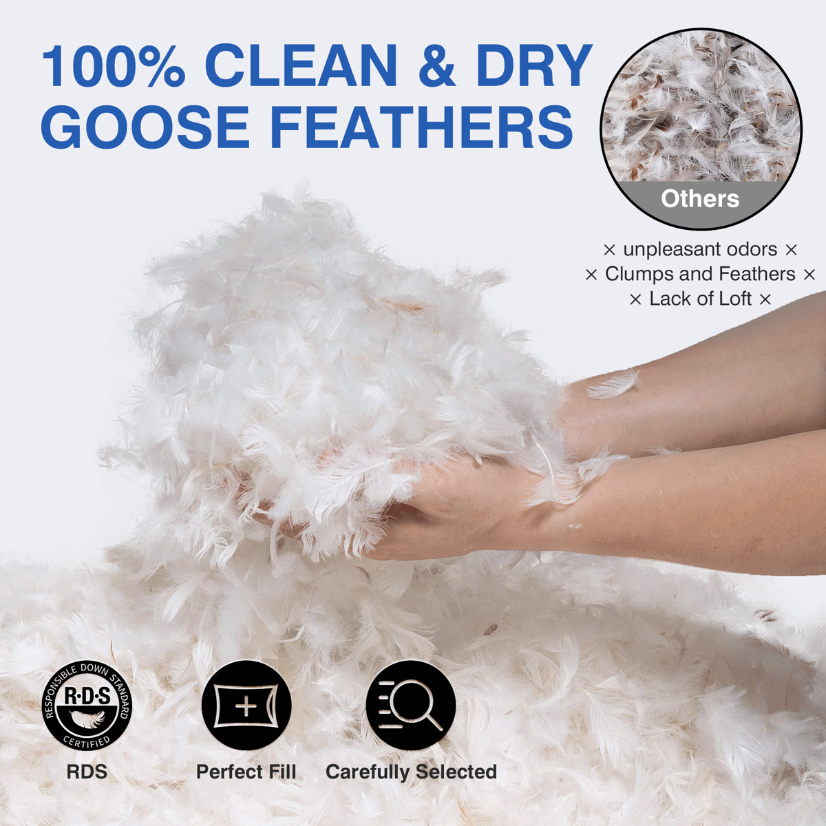 Luxury Goose Feather Pillows With Cotton Cover, Goose Down Medium Comfort Pillow (Set of 2)